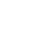 Evolution games at Spinia Casino